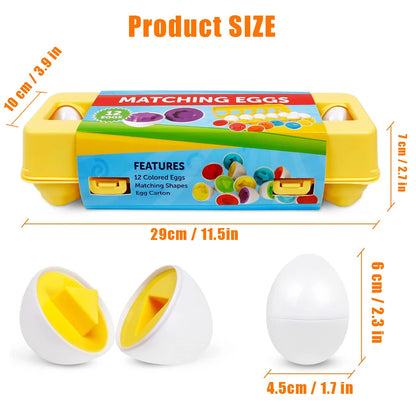 Matching Smart Eggs Toy for Kids – 3D Puzzle Montessori Learning Educational Toy - Kidz Garage