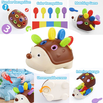 Montessori Educational Toy – Fine Motor Learning & Counting Set - Kidz Garage