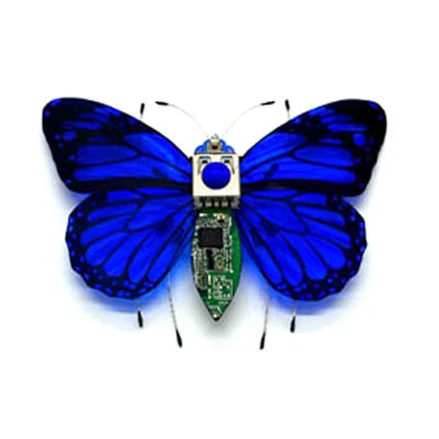 STEAM DIY Robotic Insects Kit – Buildable Electronic Animal for Kids’ School Projects & Competitions - Kidz Garage