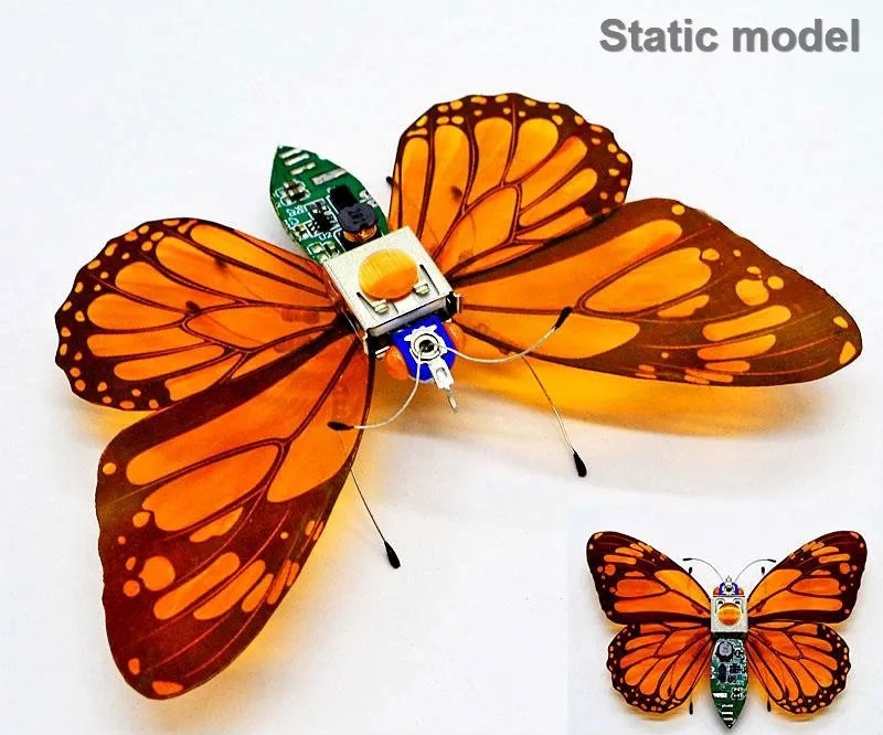 STEAM DIY Robotic Insects Kit – Buildable Electronic Animal for Kids’ School Projects & Competitions - Kidz Garage