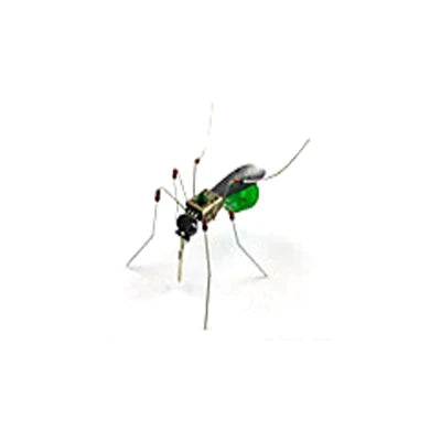 STEAM DIY Robotic Insects Kit – Buildable Electronic Animal for Kids’ School Projects & Competitions - Kidz Garage